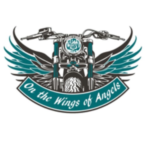 Angel Eyes Colorado non-profit